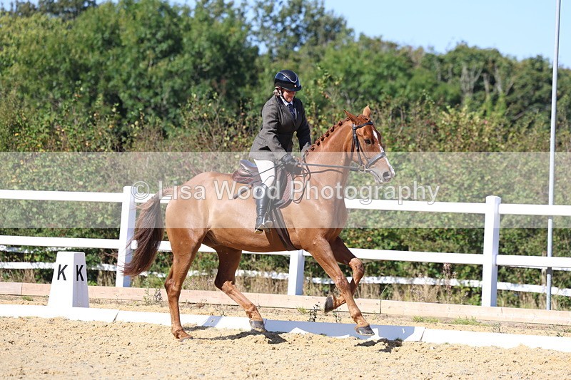 3E7A5652 - Class 9: Open Ridden Hunter