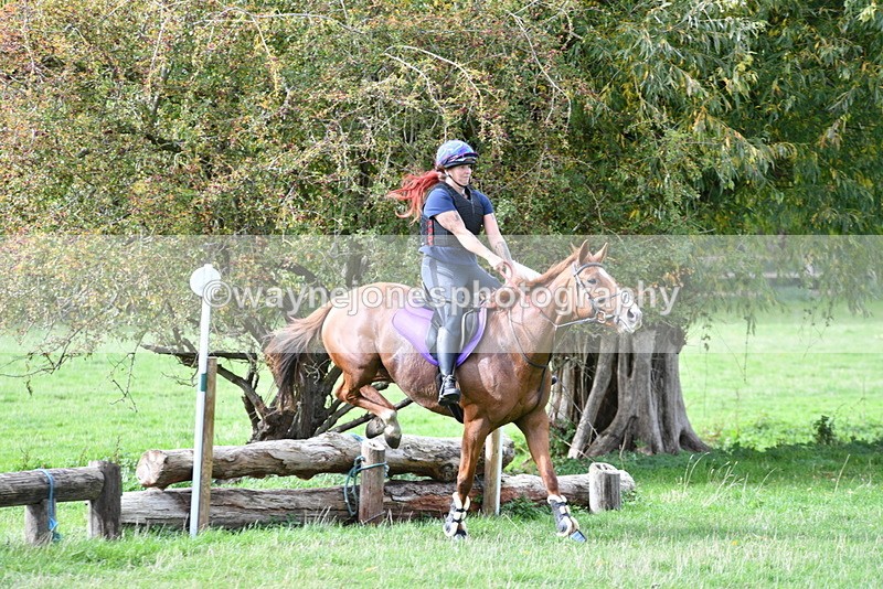 WJ5_9950 - Time 13:25 to 13:58