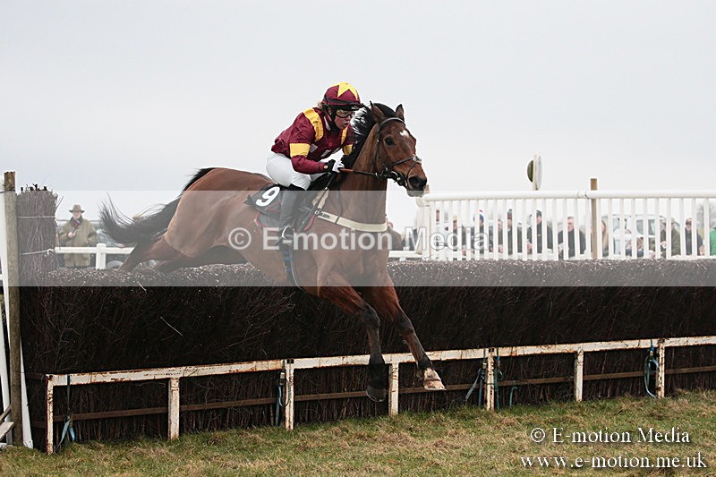 PtP 170219 -110 - Combined Services Point-To-Point Larkhill 17/02/19