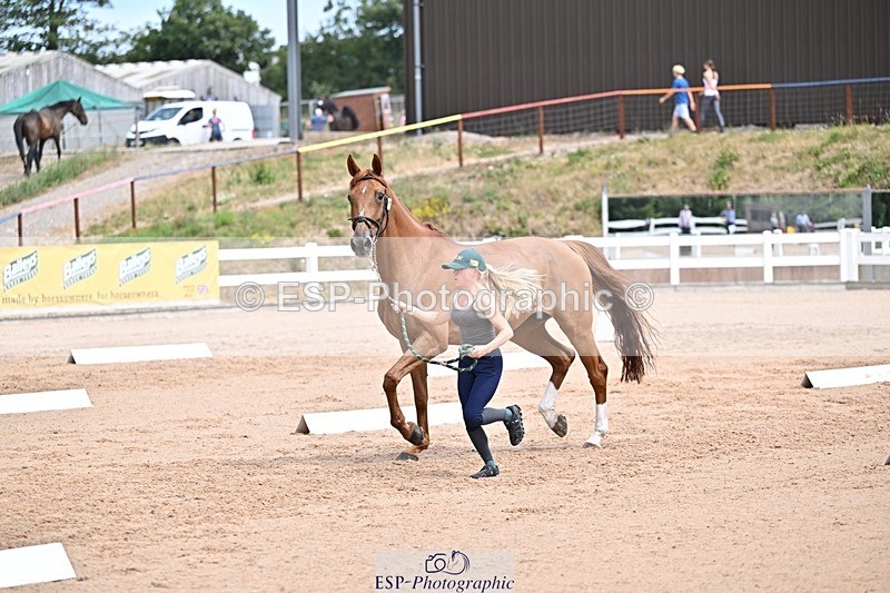 250716-130838-00356 - Trot Up 12.30 to 1.30