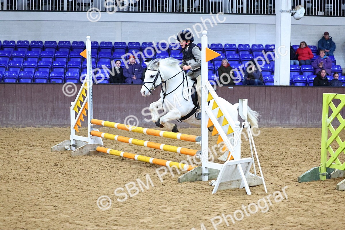 SBM_001436 - Class 3 - Christmas Tree Stakes - 60cm