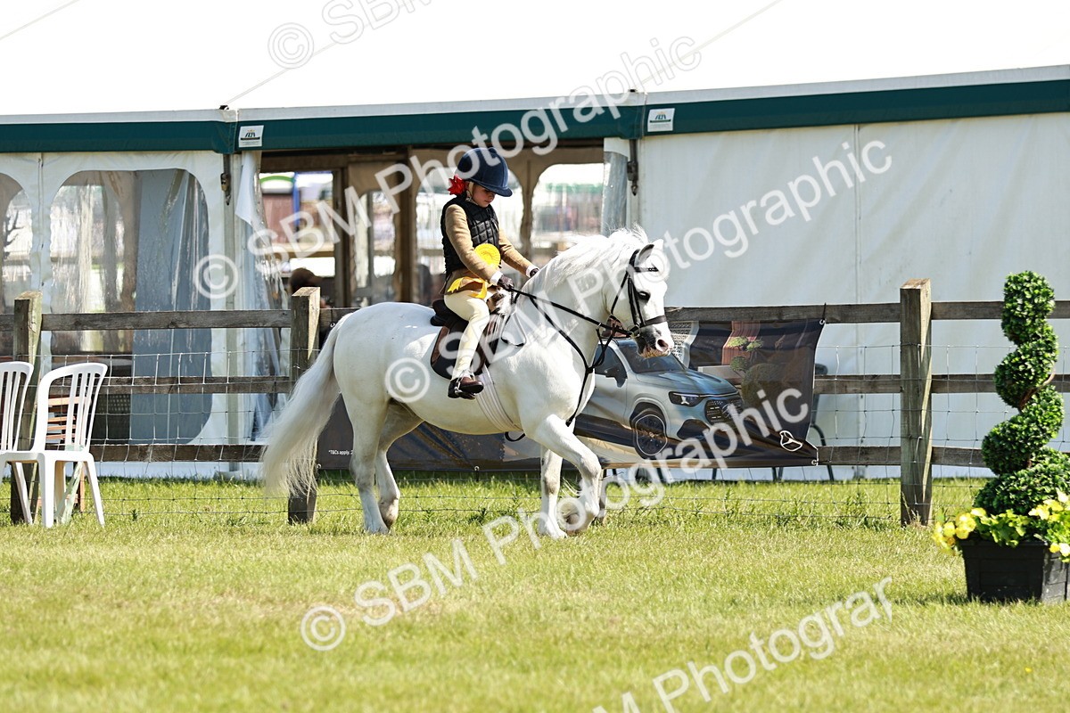 SBM_12845 - Class 106-107 - BSPS LIHS Working Sports Pony