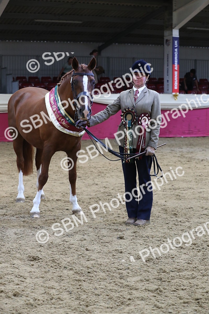 SBM_06565 - Regional IH Champ