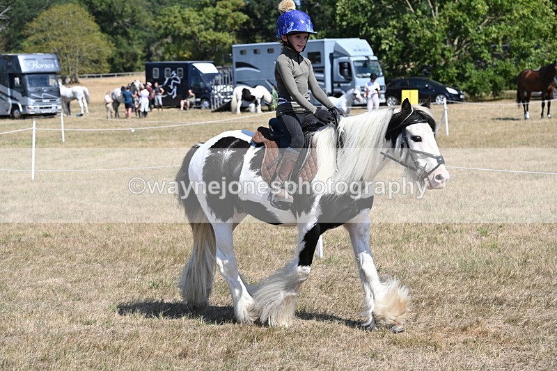 WJ6_9168 - Championship Classes 33-38