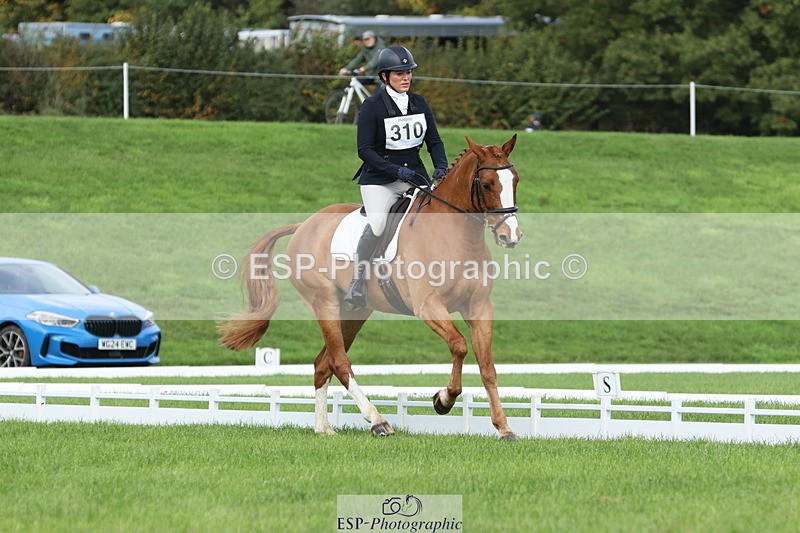 251023A-105045-03244 - D-310-Emily.R.Vincent