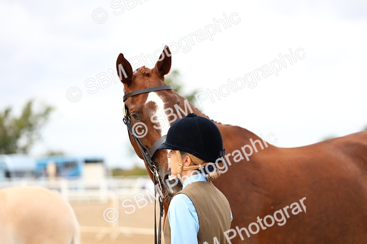 SBM_03983 - Class 25 - IH Foreign Breeds - Pure Bred