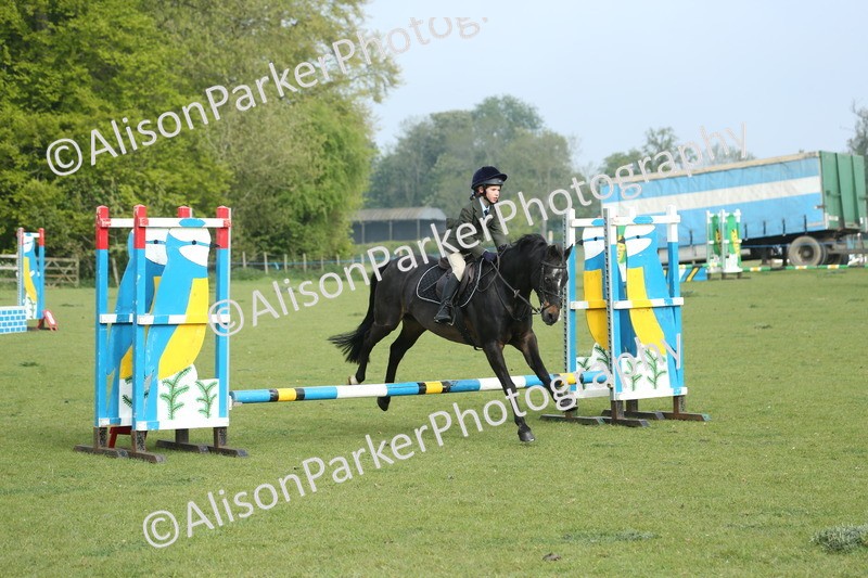 20260426-0006 - Class 13 - Rookie Jumping 50cm