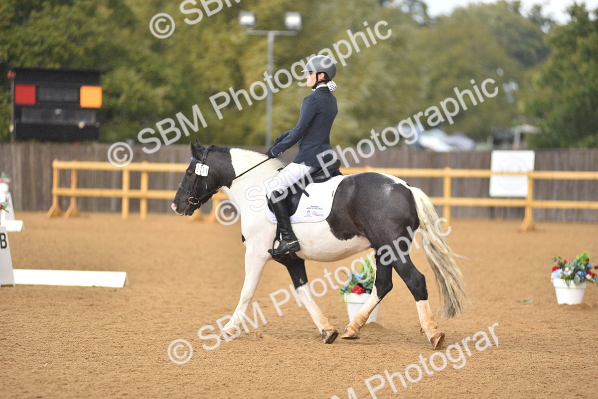 SBM_19910 - D4 - Small Tour Championship Intro 4