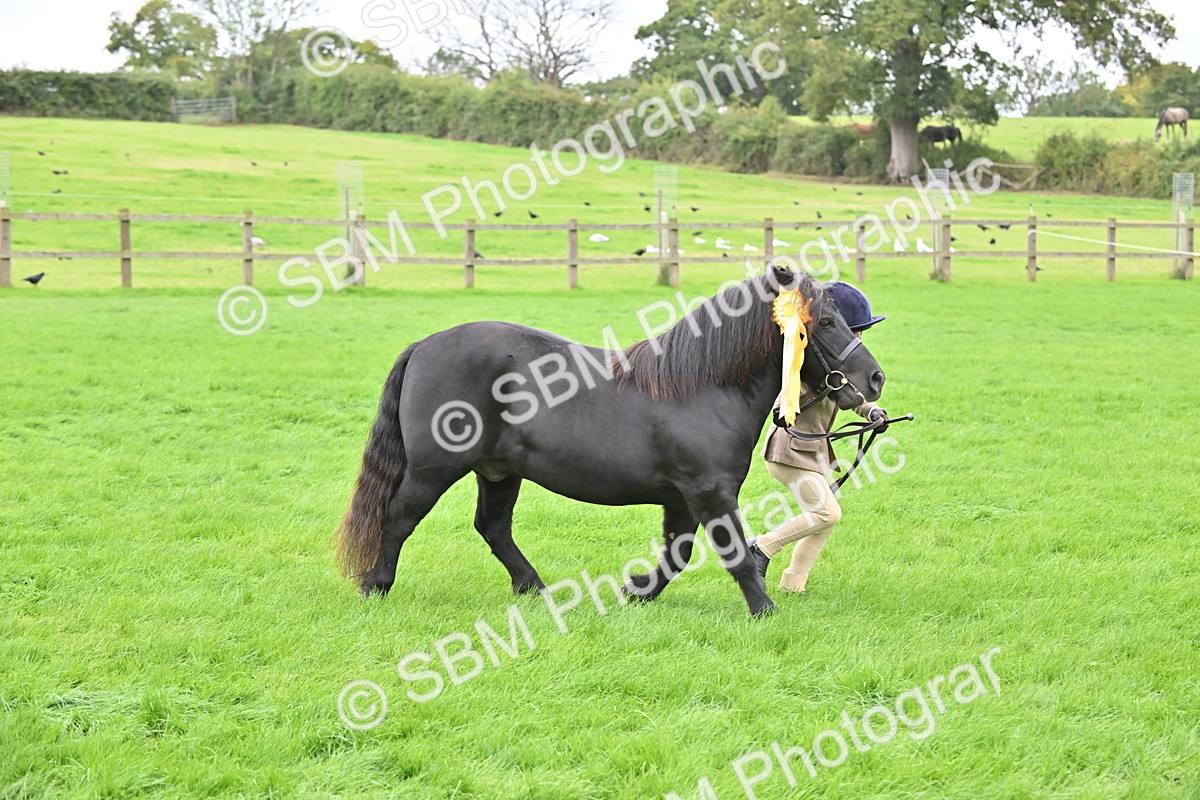 SBM_66840 - S41 - Junior Handler 8 Years & Under