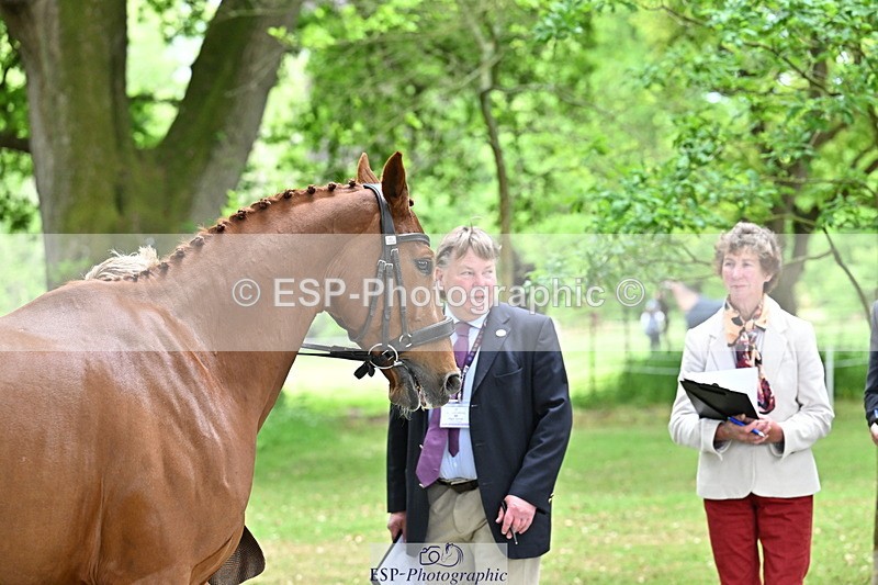 250521A-144915-00265 - A-062-Finn.Healy-GREANNANSTOWN.MONBEG.JOE