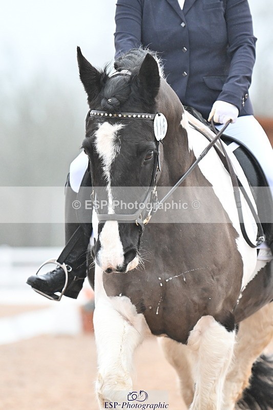 240217A-085720-00231 - 116-Polly.Tucker-Chaceley.Bobby