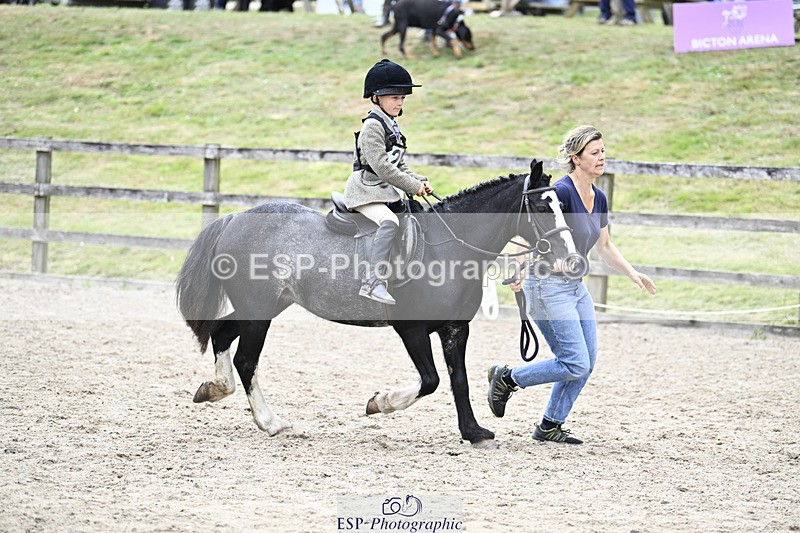 240822X-132617-08146 - 40cm LR R2 13.00 to 15.00