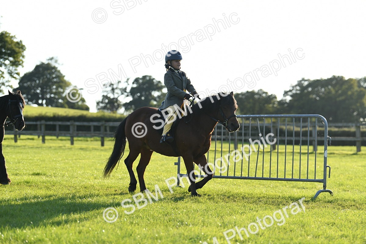 SBM_54209 - S23 - 1st Ridden Mountain & Moorland Pony