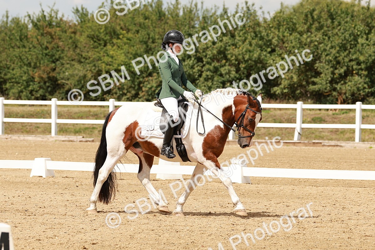 SBM_001987 - Class 8 - Elementary 6