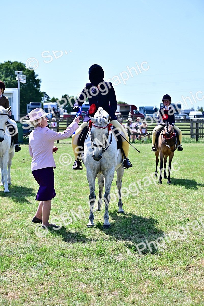 SBM_17564 - Class 95-97 - BSPS LHS Performance Ponies