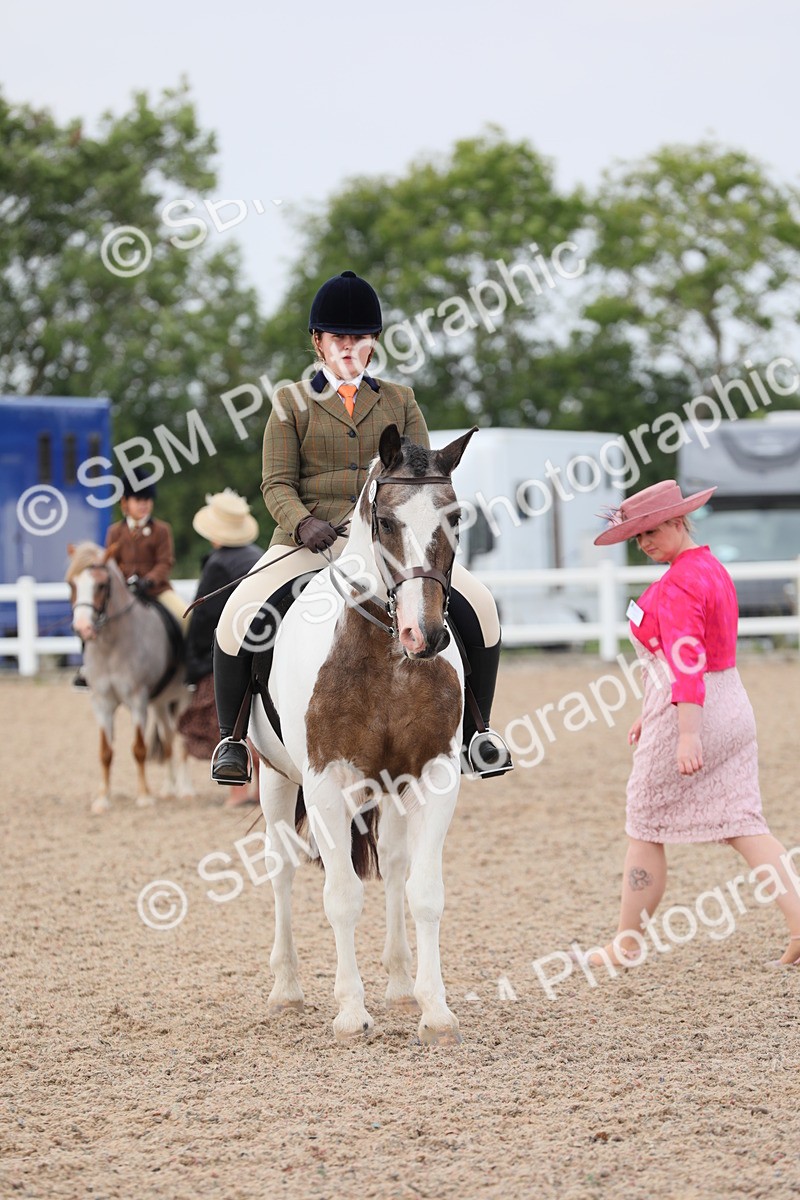 SBM_12720 - Class 307 Ridden Coloured Pony