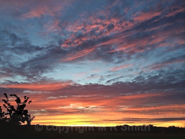 Sunset, Much Marcle, Herefordshire - LANDSCAPES & TREES
