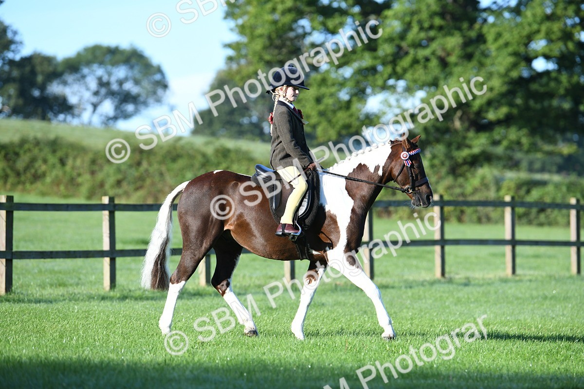 SBM_33948 - S16 - Condition & Turnout - Ridden
