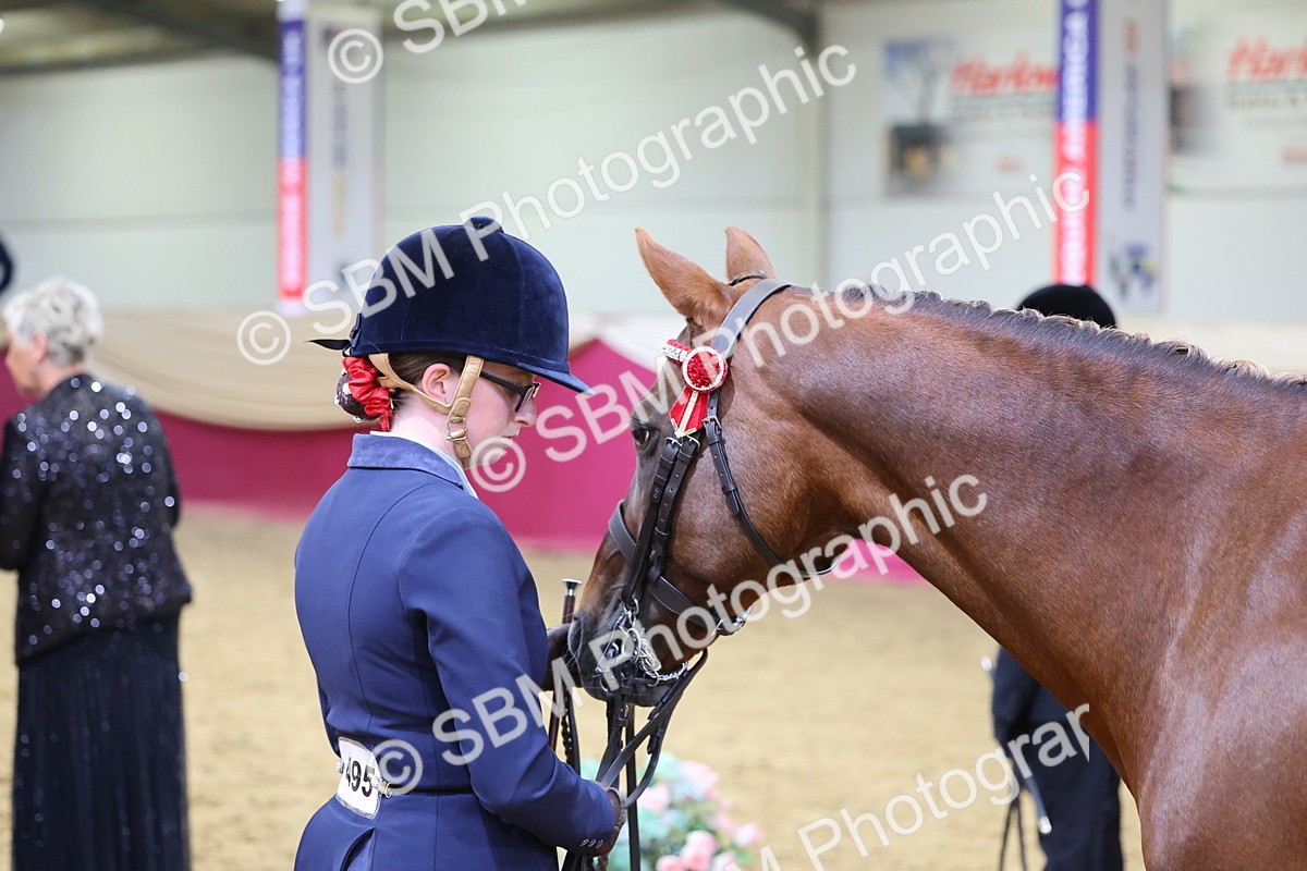 SBM_20913 - Class 902 - Supreme Final IH Veteran