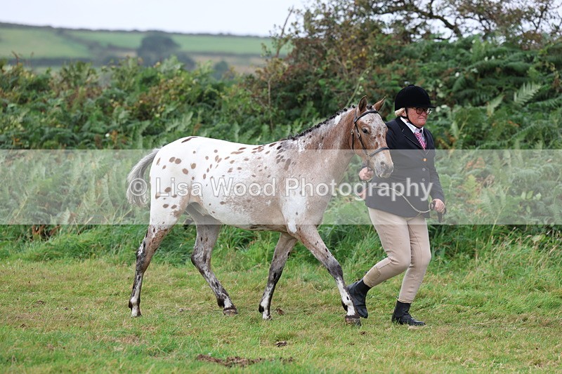 3E7A4067 - Class 15: Two Year Olds