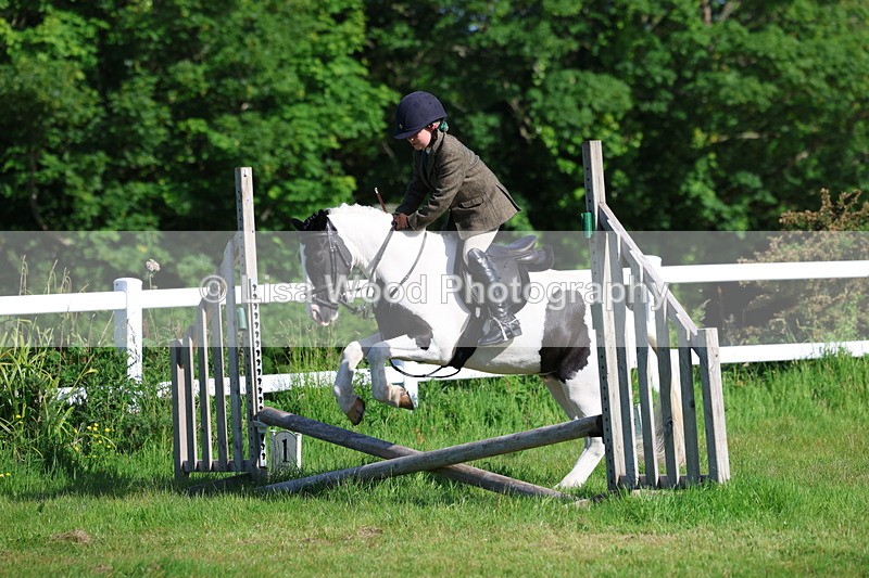 3E7A5879 - Class 27: Novice Working Hunter Pony
