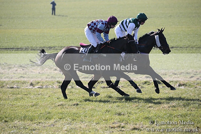 PtP 240218 11 - Vine & Craven Hunt Point-to-Point Barbury racecourse 24/02/18