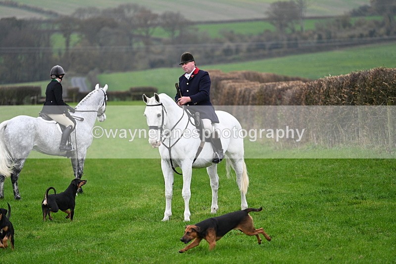 WJ7_8823 - Meet Staff & Hounds
