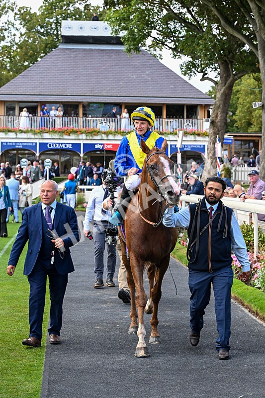 210826-Race 5-Plage De Havre-6873 - Race 5 16.10pm Assured Data Protection Handicap