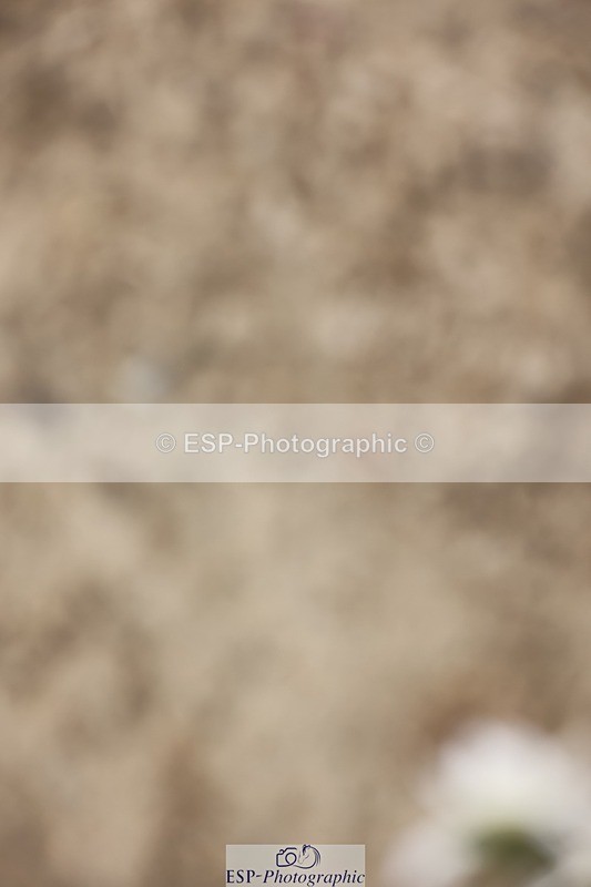 240810-170144-04495 - PSG Gold