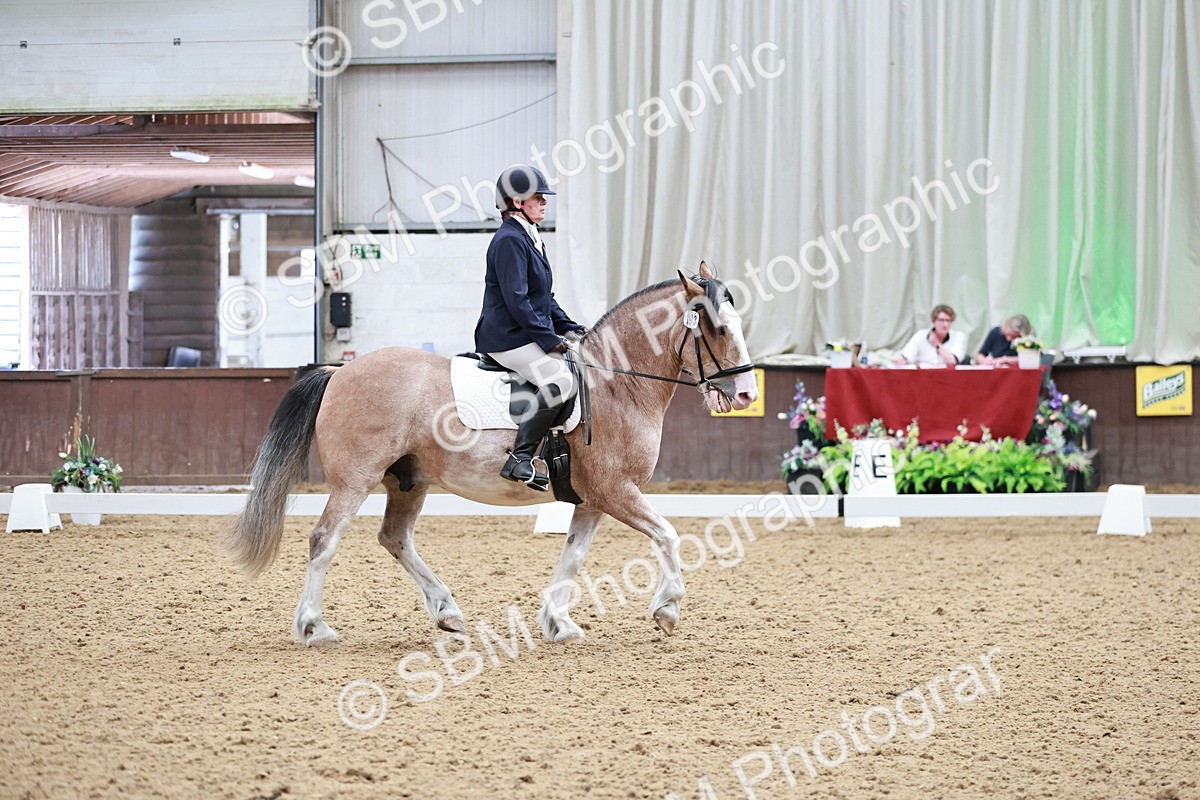 SBM_014224 - Class 7 - Ele FSM Bronze 12.12.13.08
