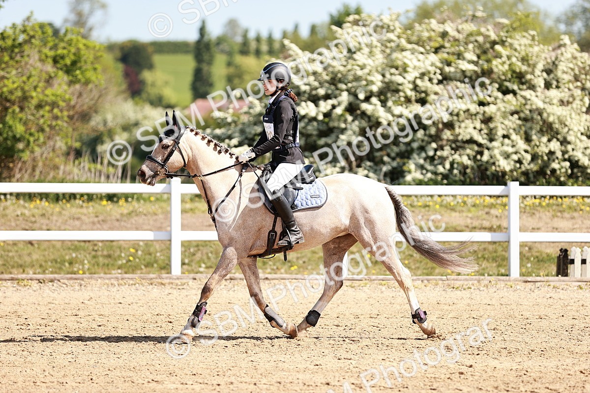 SBM_006933 - Class 2 - 50cm