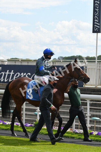 yr12052021r5-7 - Race 5 3.40pm Sky Bet Stakes