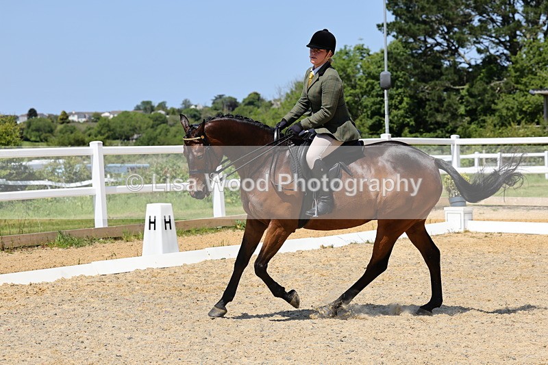 1X9A1884 - Class 12: Ridden Riding Horse/Hack