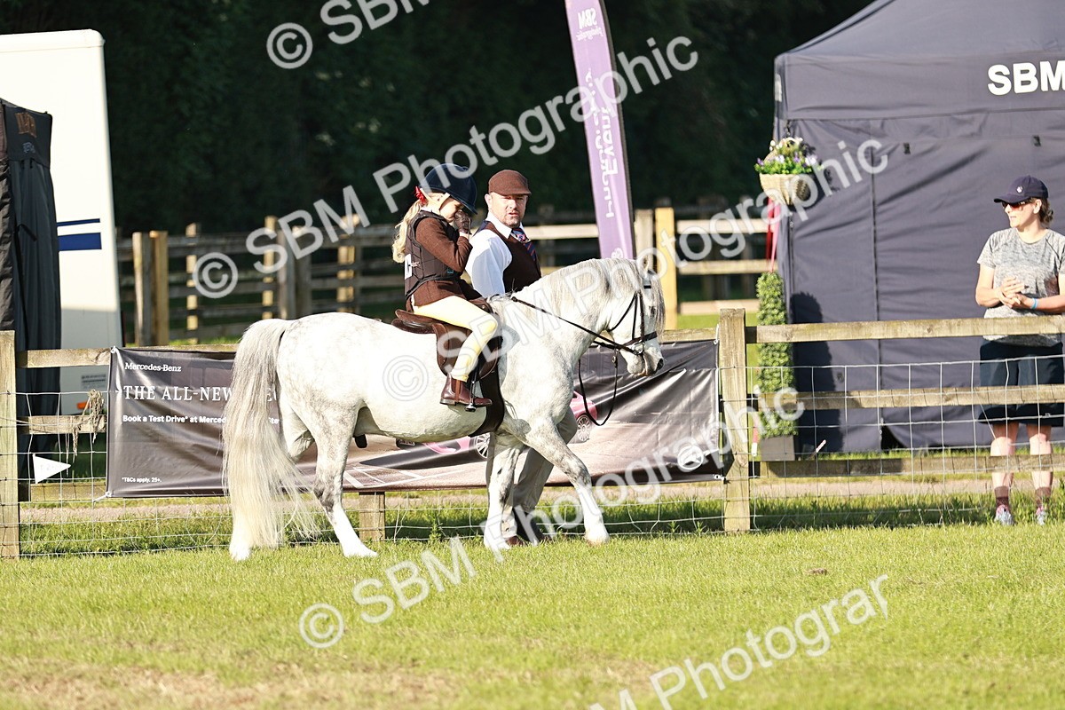 SBM_10984 - Class 106-107 - BSPS LIHS Working Sports Pony