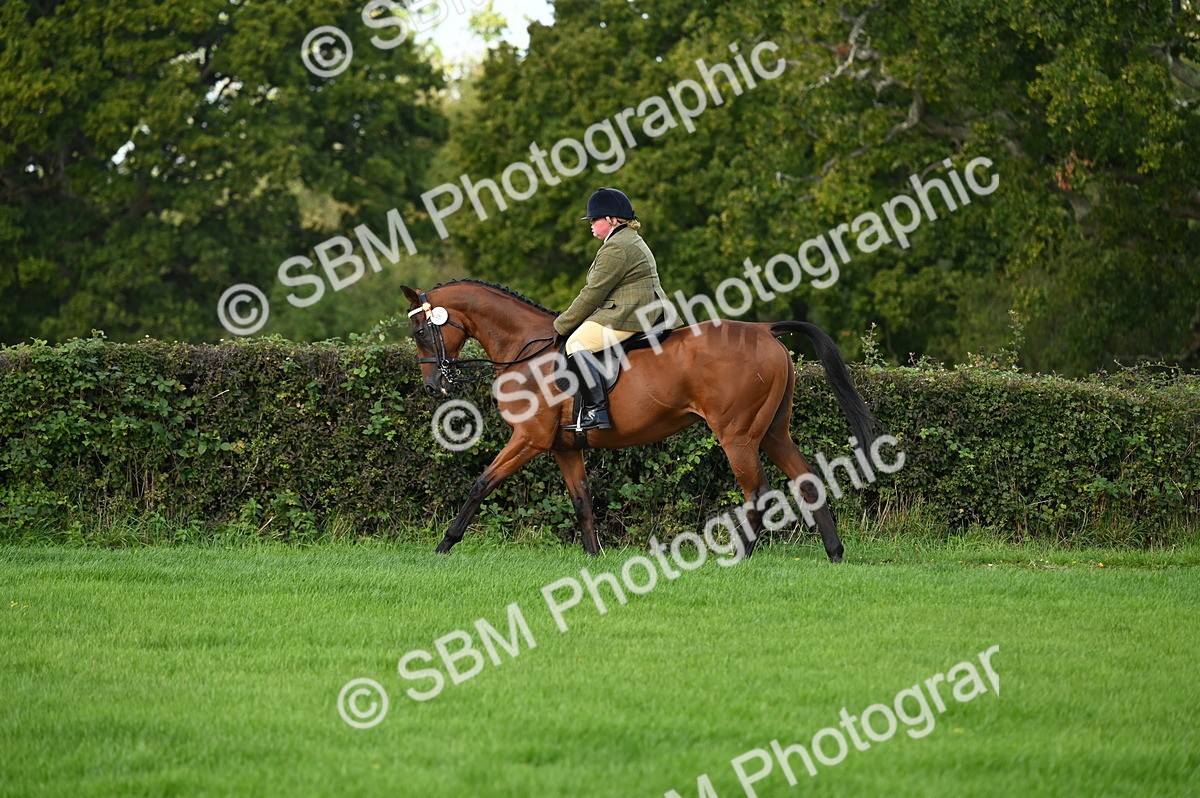 SBM_01559 - S2 - TSR Ridden Horse Showing