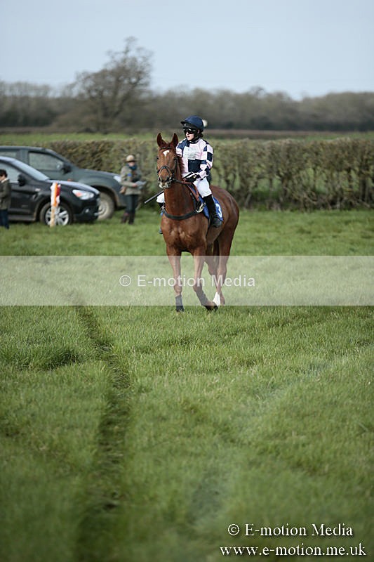 PtP 230319 326 - VWH Hunt Siddington Point-to-Point Racing 23/03/19