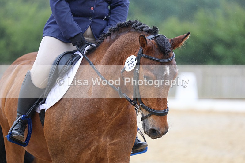 3E7A8517 - Class 2: Intro 3 2024 section B