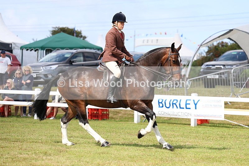 3E7A9718 - Class 5: Rising Star Lightweight/Heavyweight Cobs