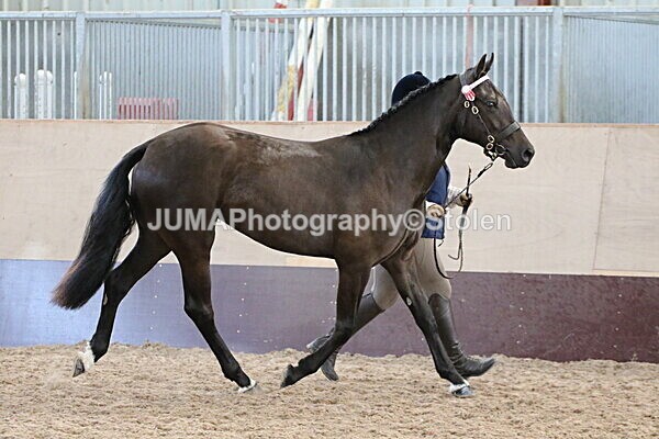 SIAL9601 - Indoor Classes