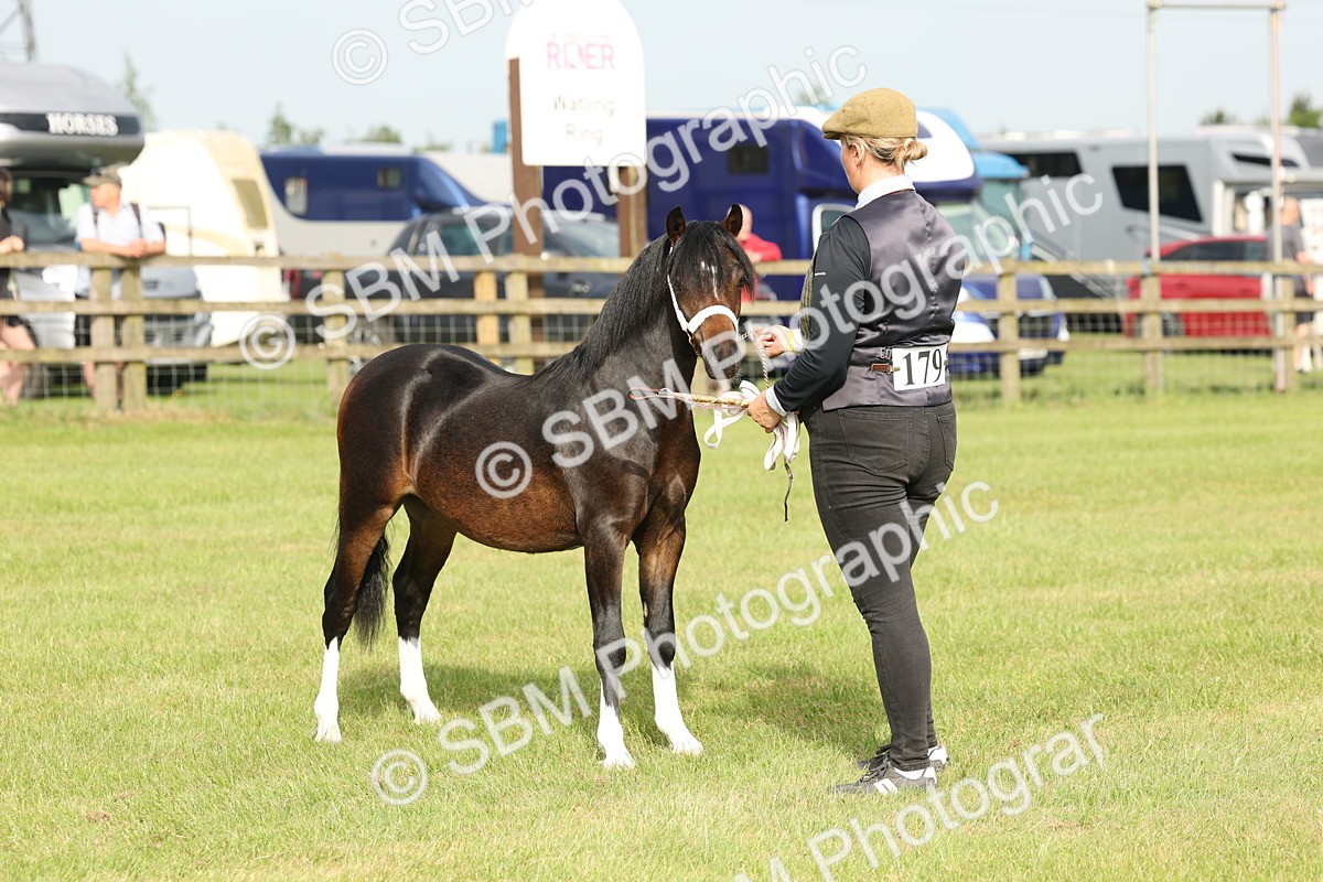 SBM_00450 - Class 6-13 - Mountatin and Moorland In Hand Welsh Breeds