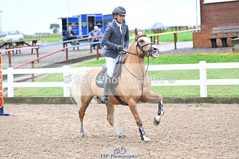 240908A-105234-03166 - Cls 18 A&B Pony Brit Nov & 80 Opern