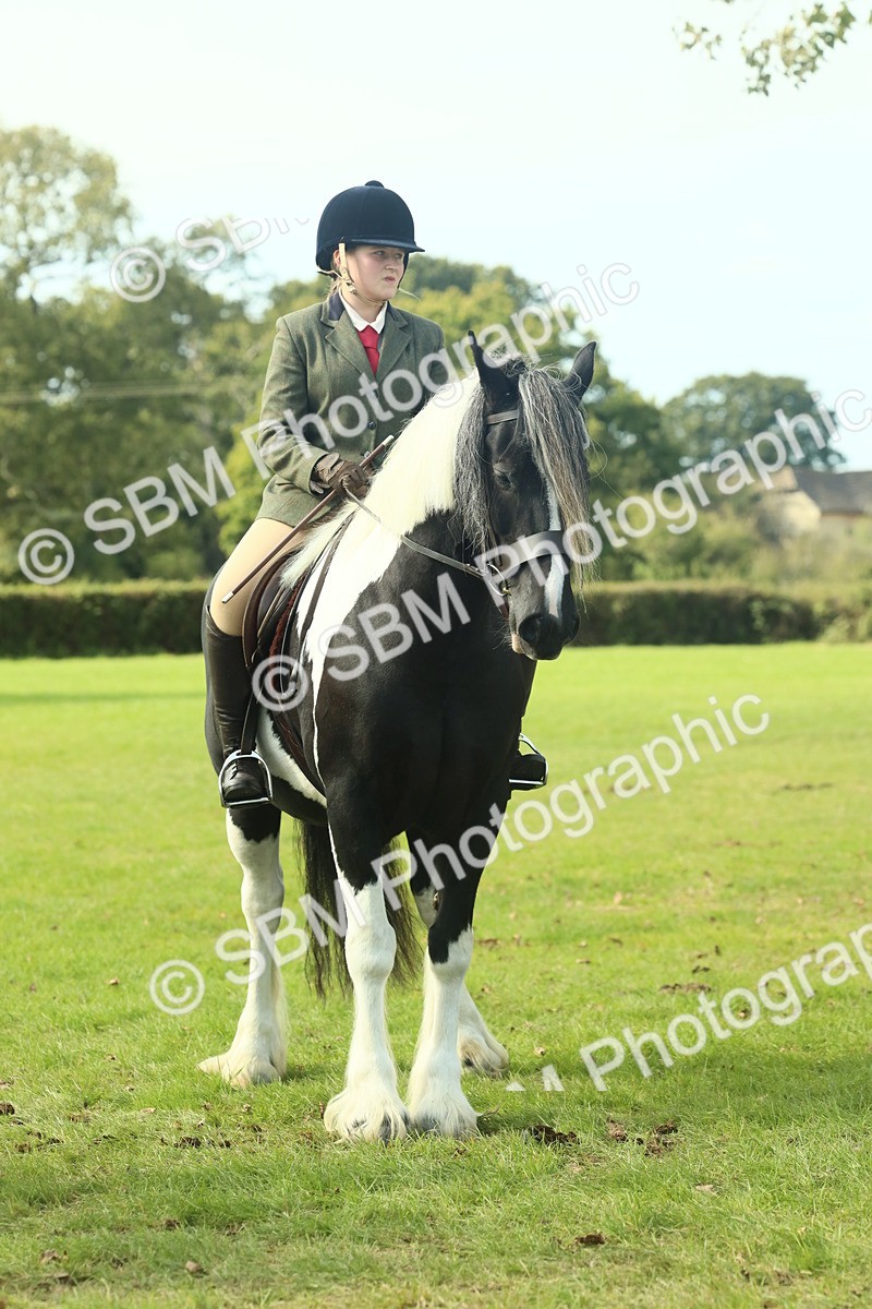 SBM_68965 - S58 - Mini Show Cob Ridden