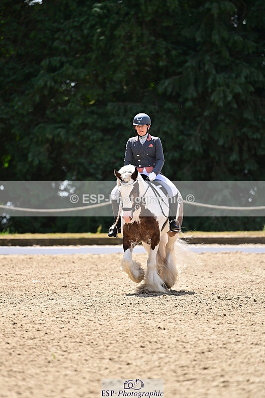 260802A-123159-06248 - Novice Silver break- end