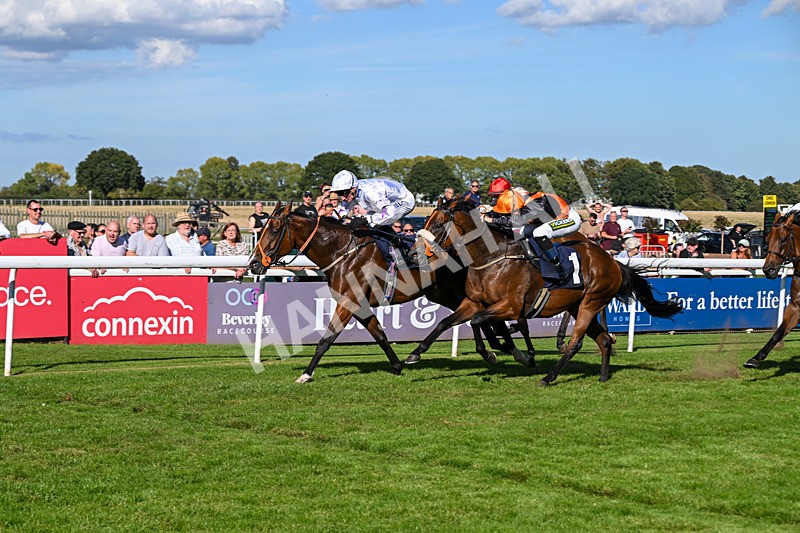 220926-Race 4-Toca Madera-4020 - Race 4 3.15pm Eddie And Violet Smith Conditions Stakes