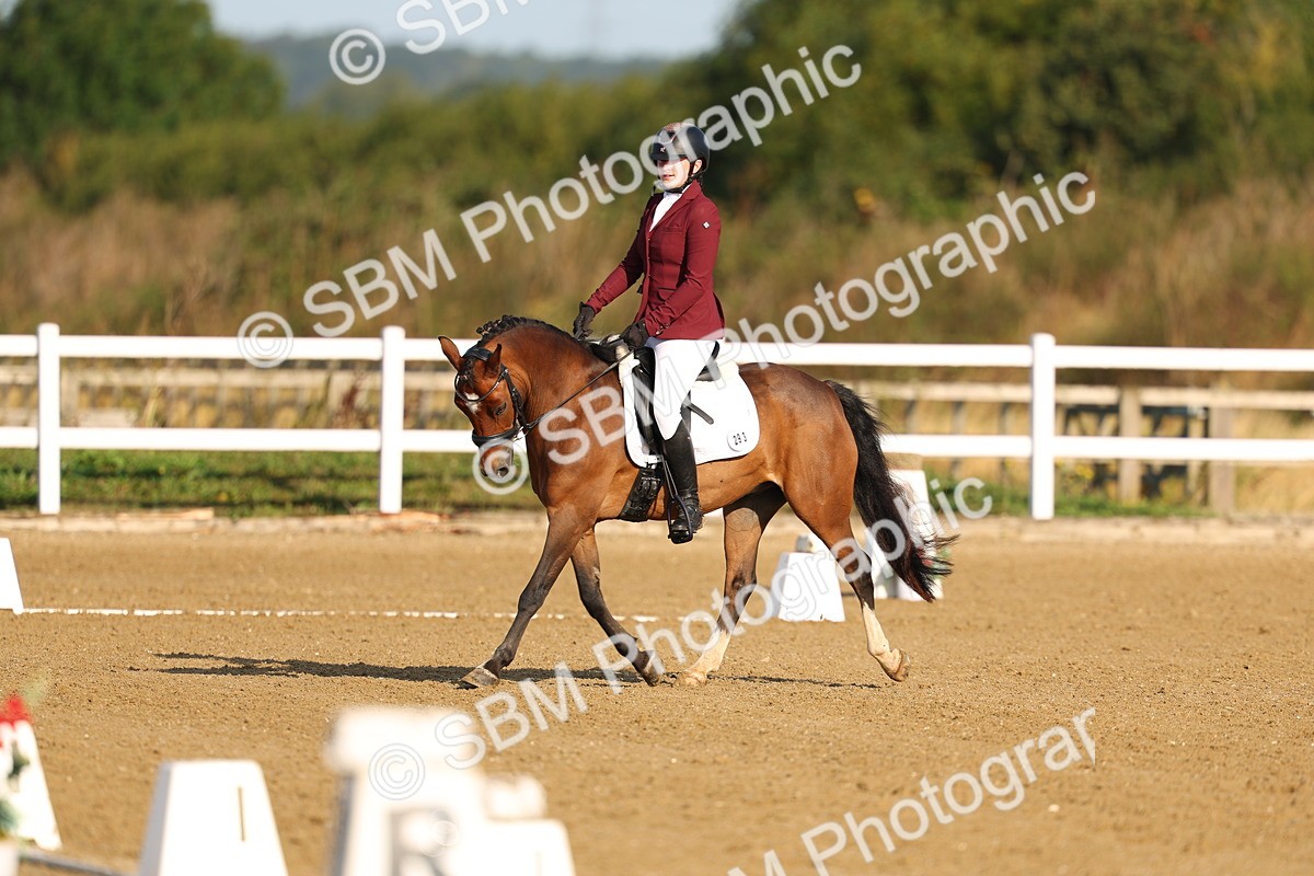 SBM_010108 - Class 1 - Prelim 19 8.02-9.05