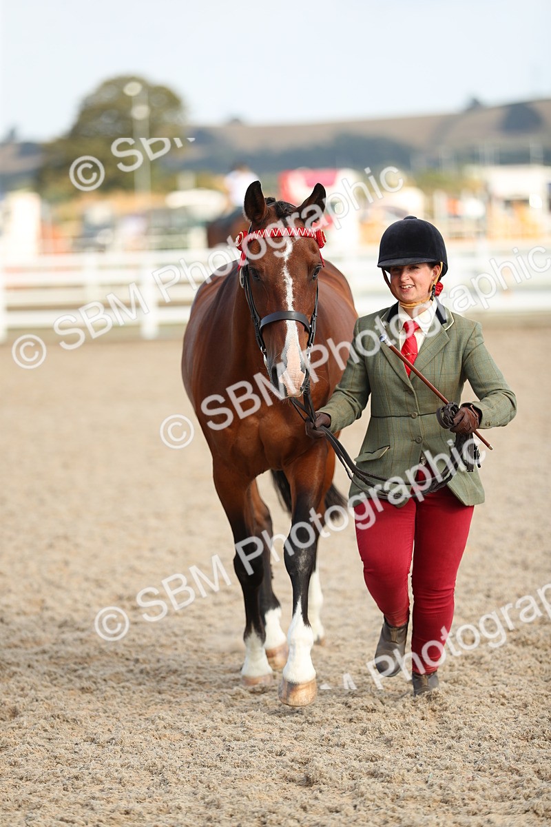 SBM_08631 - Class 28 - IH Veteran Horse