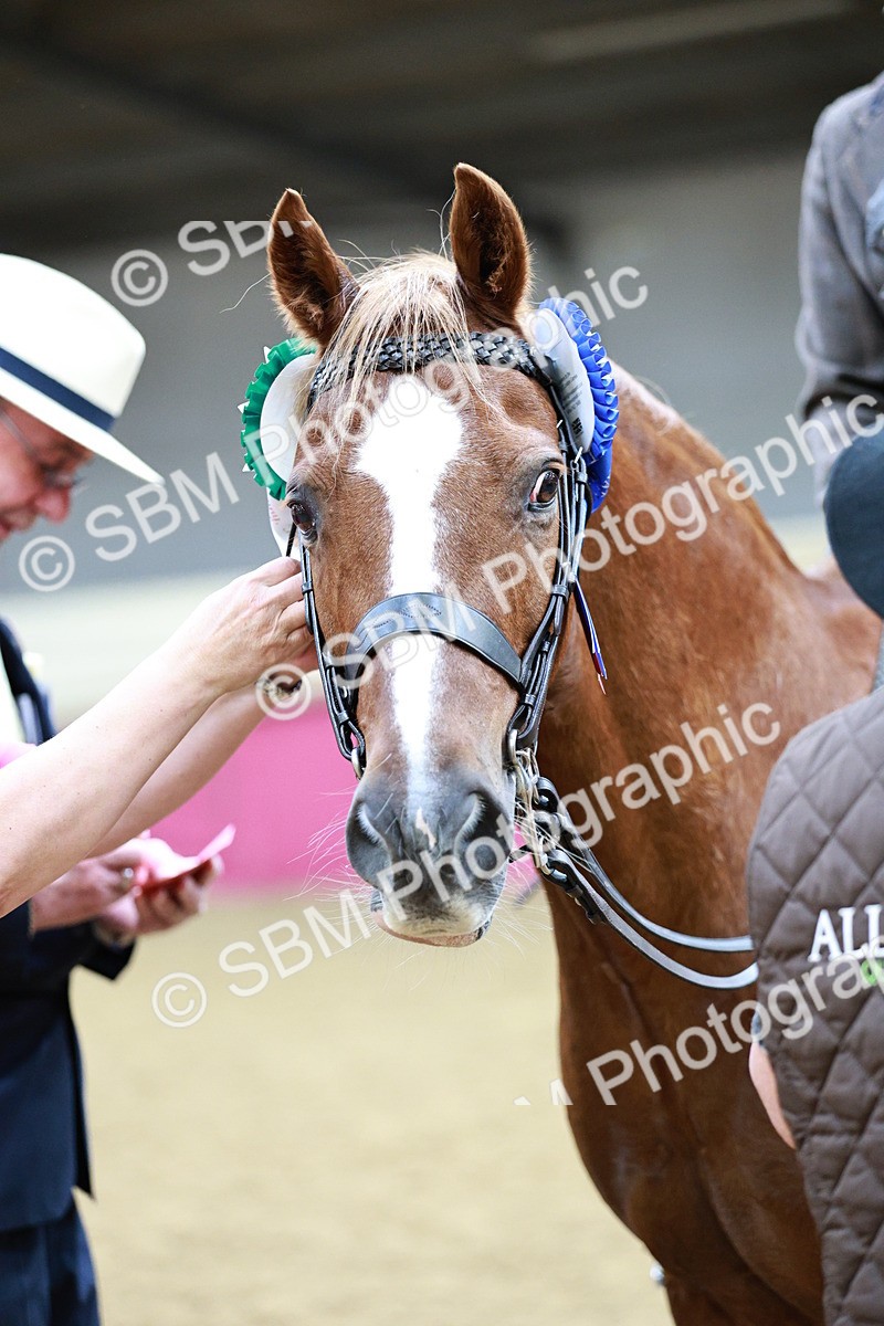 SBM_02308 - Class 4A - Area Ridden Diamond