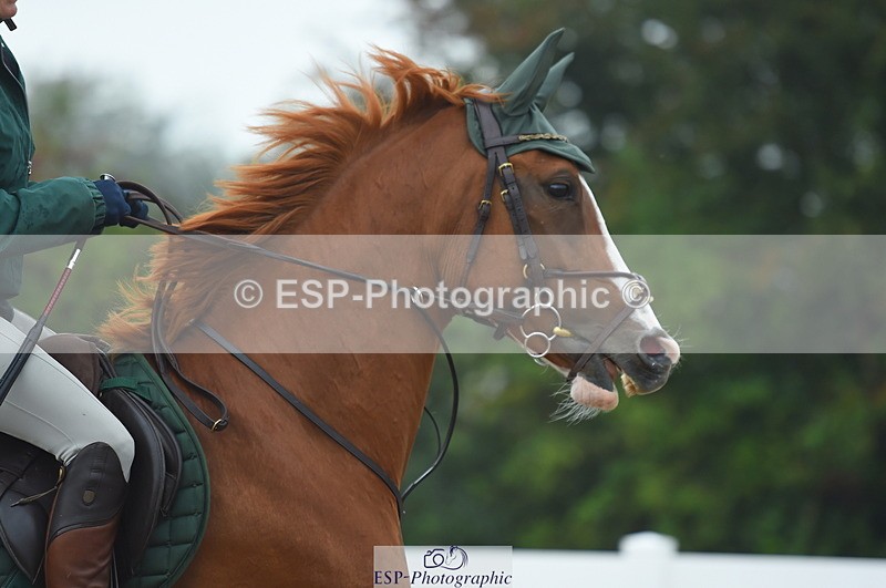 230916A-114636-03702 - Cls 22 95cm Amateur Qualifier