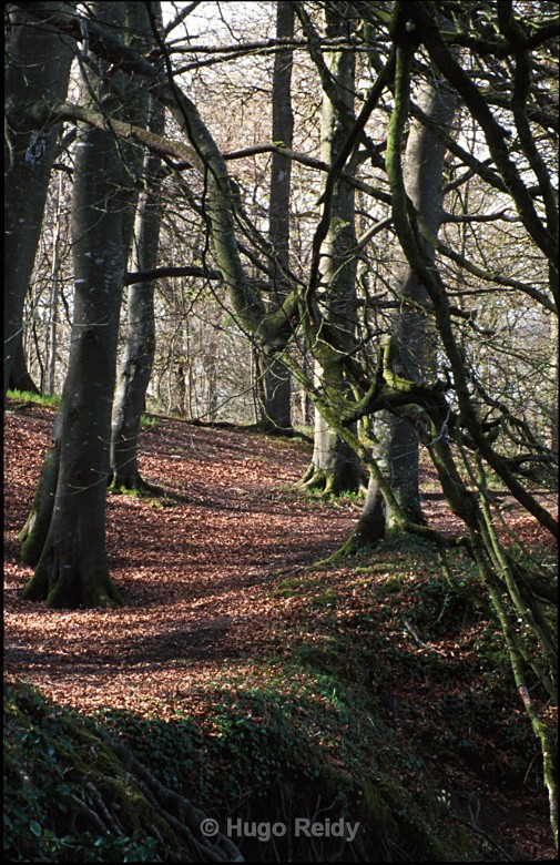  - Landscape & Rivers