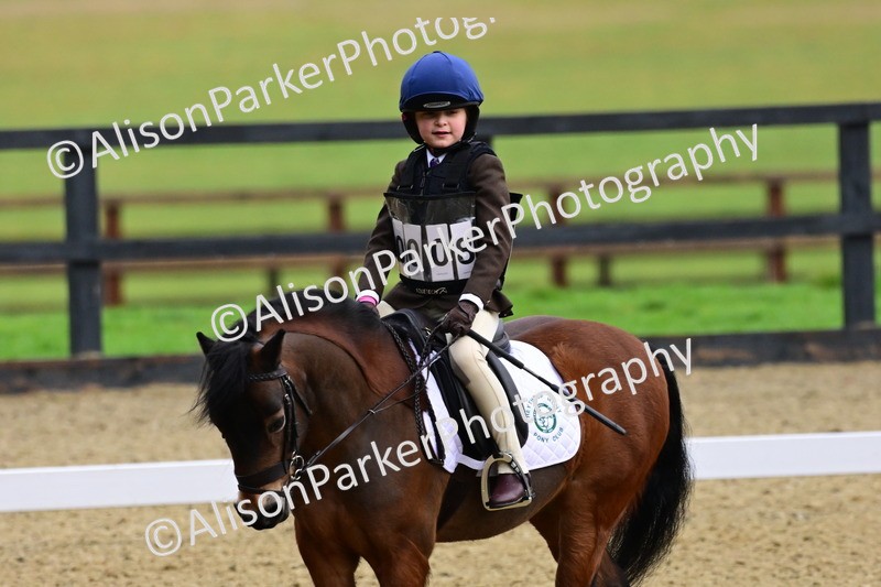 20260125-0514 - Class 9b - Walk Trot Unassisted